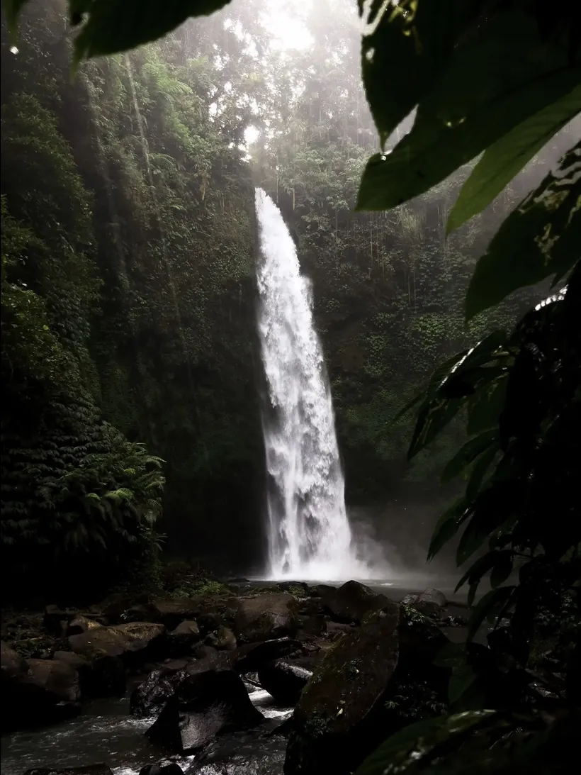 Cascata nella giungla a Bali